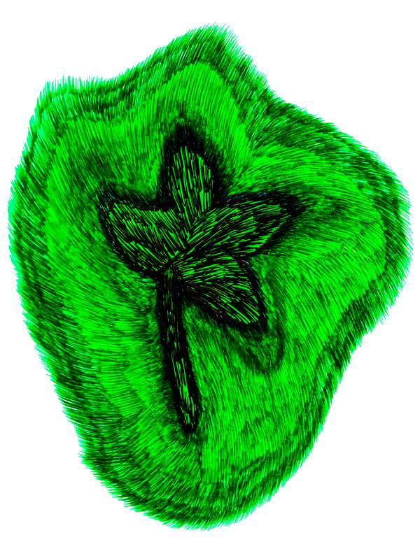 CloversIntuition logo